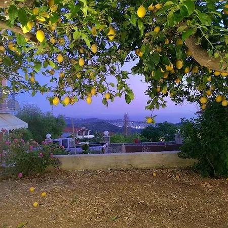 V&v Boutique וילה *