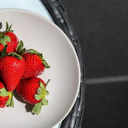 Villa V&v Boutique *